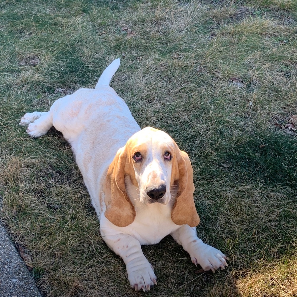 Meet your Posher, Emma